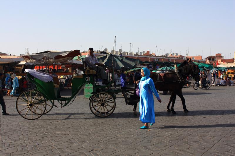 436-Marrakech,5 agosto 2010.JPG